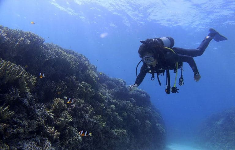 マリンスタッフ